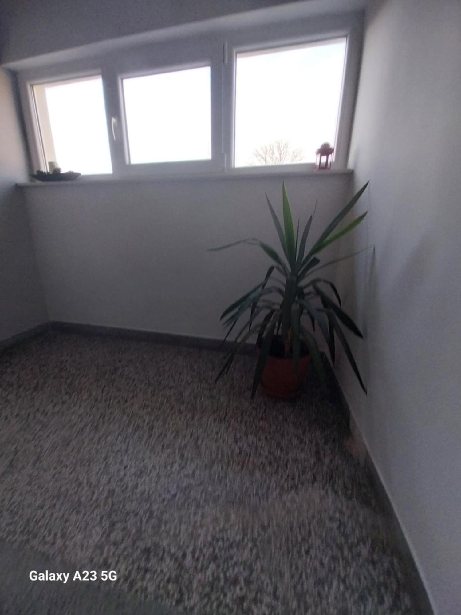 Apartman Bloom Ossero Esterno foto